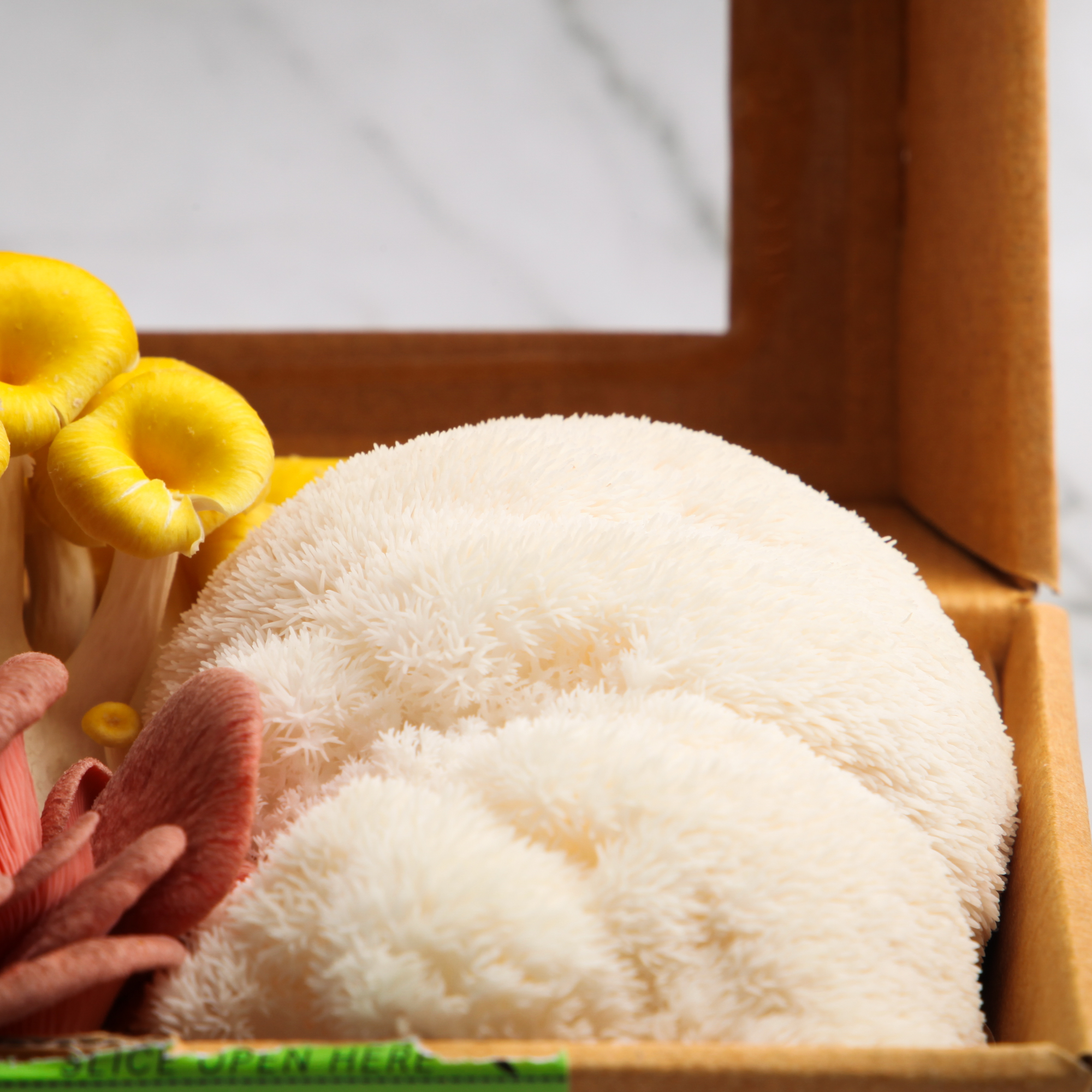 Organic Mixed Mushrooms - Earthling